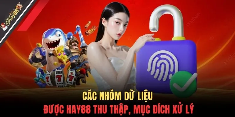 Các nhóm dữ liệu được HAY88 thu thập, mục đích xử lý