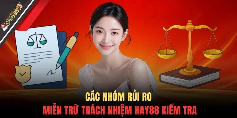 Các nhóm rủi ro miễn trừ trách nhiệm HAY88 kiểm tra