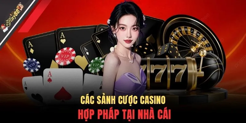 Các sảnh cược casino hợp pháp tại nhà cái