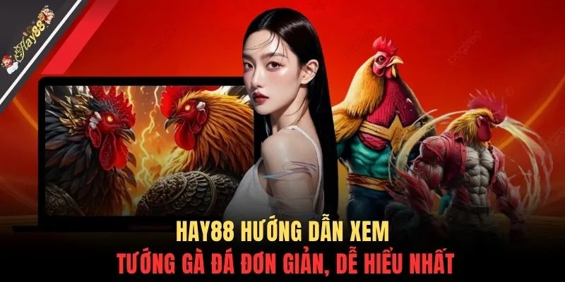 HAY88 hướng dẫn xem tướng gà đá đơn giản, dễ hiểu nhất